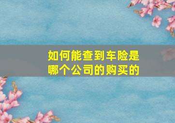 如何能查到车险是哪个公司的购买的