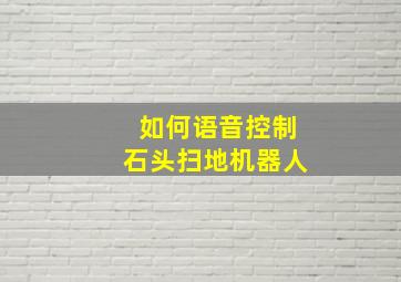 如何语音控制石头扫地机器人