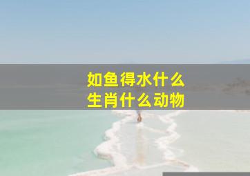 如鱼得水什么生肖什么动物