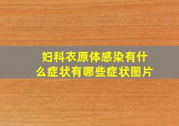 妇科衣原体感染有什么症状有哪些症状图片