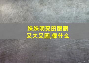 妹妹明亮的眼睛又大又圆,像什么