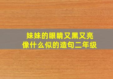 妹妹的眼睛又黑又亮像什么似的造句二年级