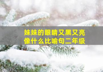 妹妹的眼睛又黑又亮像什么比喻句二年级