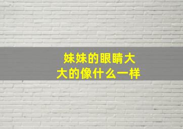 妹妹的眼睛大大的像什么一样