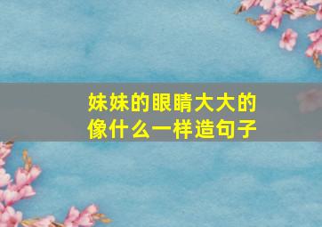 妹妹的眼睛大大的像什么一样造句子