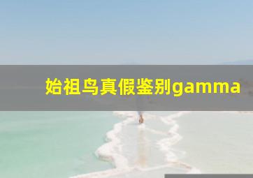 始祖鸟真假鉴别gamma