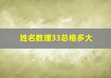 姓名数理33总格多大