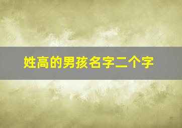 姓高的男孩名字二个字