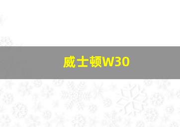 威士顿W30