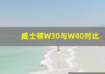 威士顿W30与W40对比