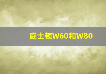 威士顿W60和W80