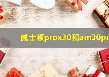 威士顿prox30和am30pro