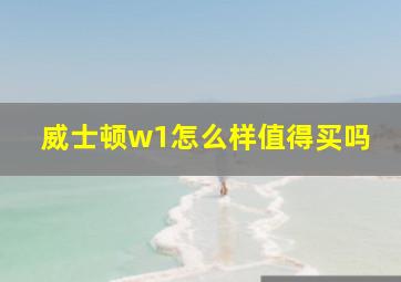 威士顿w1怎么样值得买吗