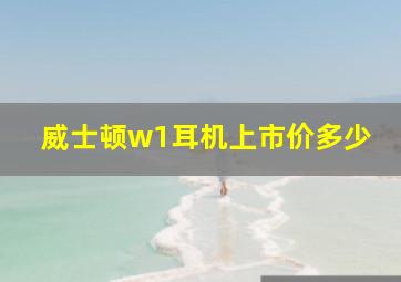 威士顿w1耳机上市价多少