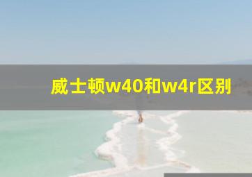 威士顿w40和w4r区别