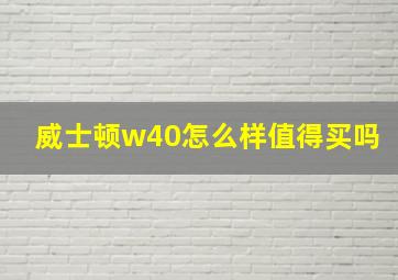 威士顿w40怎么样值得买吗