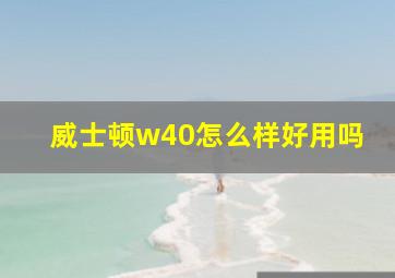 威士顿w40怎么样好用吗