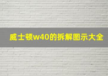 威士顿w40的拆解图示大全