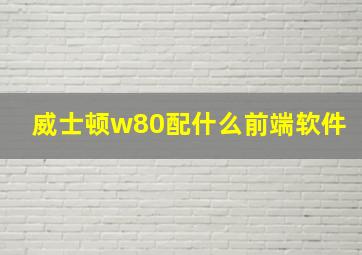 威士顿w80配什么前端软件