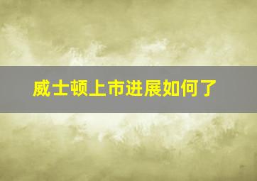 威士顿上市进展如何了