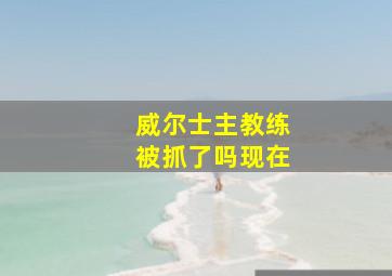 威尔士主教练被抓了吗现在