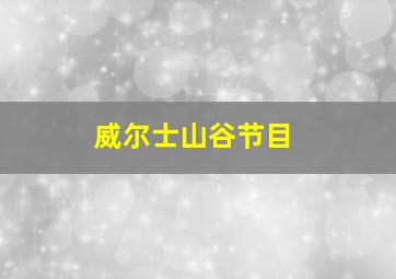 威尔士山谷节目