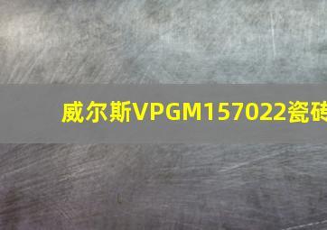 威尔斯VPGM157022瓷砖