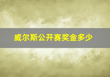 威尔斯公开赛奖金多少