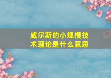 威尔斯的小规模技术理论是什么意思