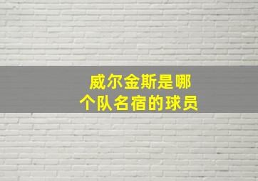 威尔金斯是哪个队名宿的球员