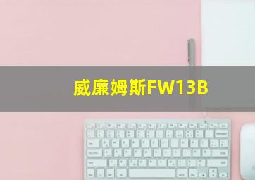 威廉姆斯FW13B