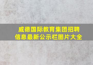 威德国际教育集团招聘信息最新公示栏图片大全