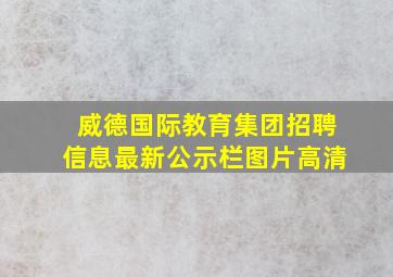 威德国际教育集团招聘信息最新公示栏图片高清