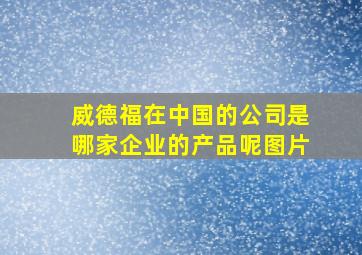 威德福在中国的公司是哪家企业的产品呢图片