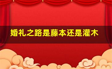 婚礼之路是藤本还是灌木