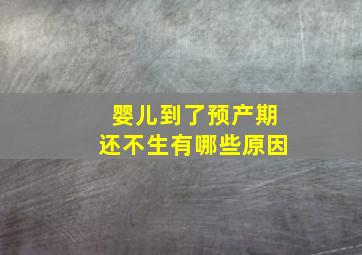 婴儿到了预产期还不生有哪些原因