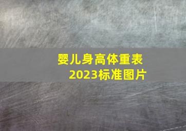 婴儿身高体重表2023标准图片