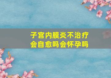 子宫内膜炎不治疗会自愈吗会怀孕吗