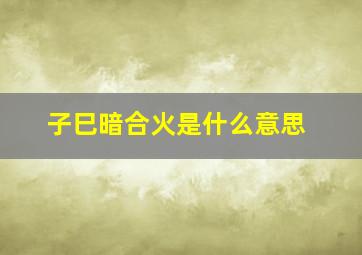 子巳暗合火是什么意思