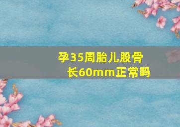 孕35周胎儿股骨长60mm正常吗