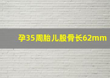 孕35周胎儿股骨长62mm