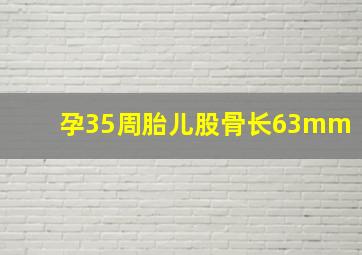 孕35周胎儿股骨长63mm