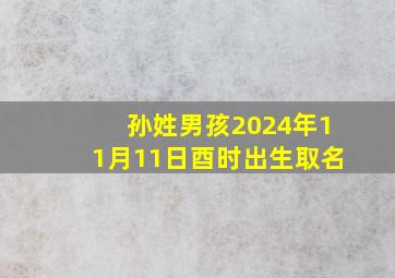 孙姓男孩2024年11月11日酉时出生取名