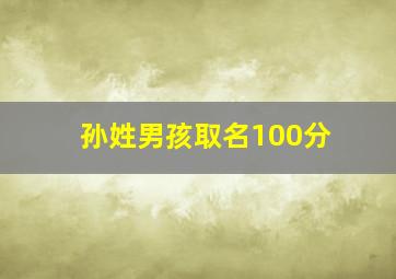 孙姓男孩取名100分