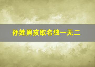 孙姓男孩取名独一无二