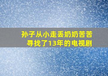 孙子从小走丢奶奶苦苦寻找了13年的电视剧