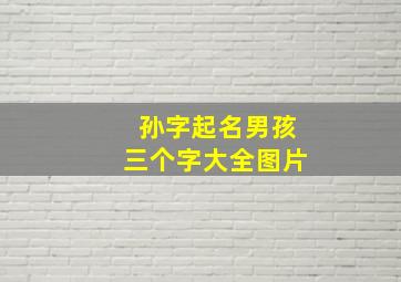 孙字起名男孩三个字大全图片