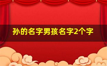 孙的名字男孩名字2个字