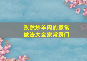 孜然炒羊肉的家常做法大全家常窍门