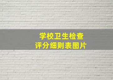 学校卫生检查评分细则表图片